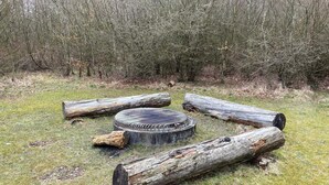 A circular fire pit surrounded by logs in a grassy area with trees in the background. - Peaceful Holiday Home in Jutland with Hot Tub (Oksbol)