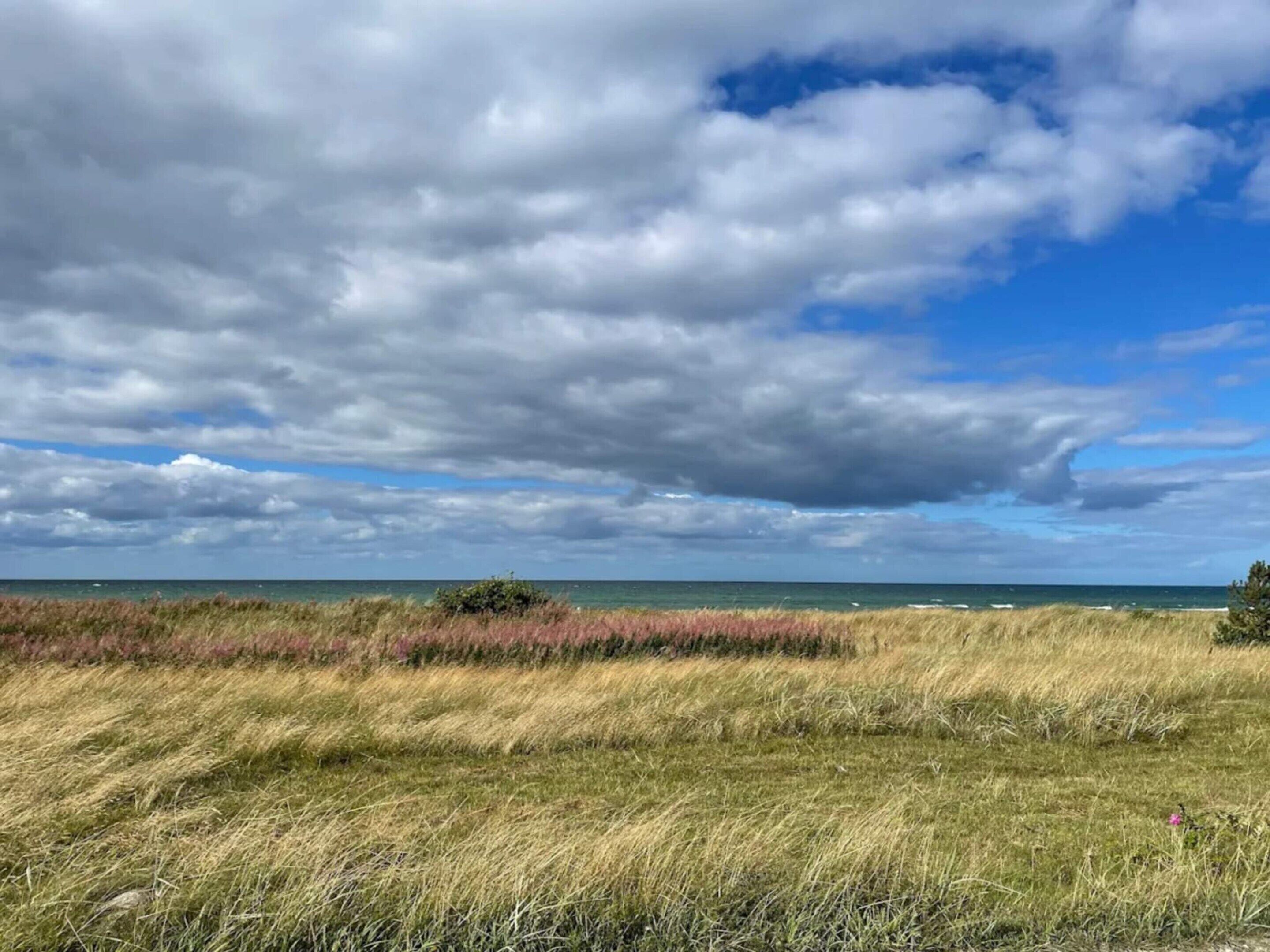 A coastal landscape with a grassy foreground and a view of the ocean under a cloudy sky.