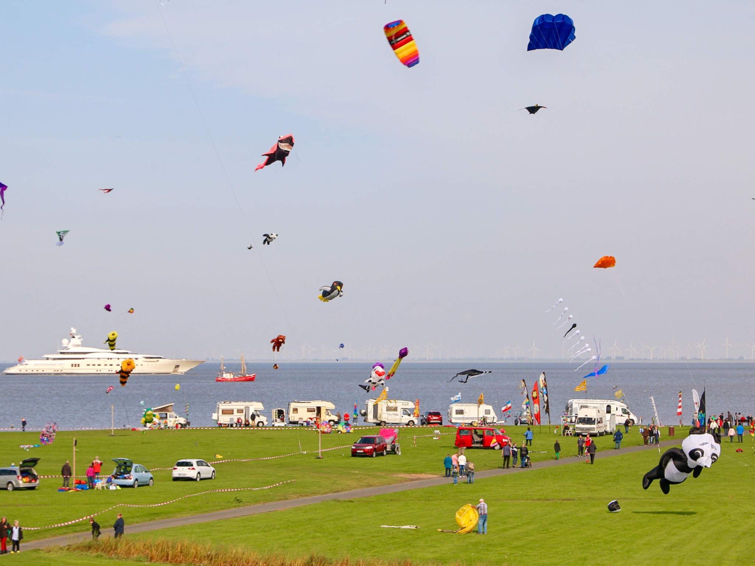 A grassy field with a body of water in the background, a yacht, and various kites.