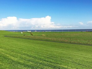A wide-open grassy field with a clear sky and distant horizon.