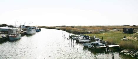 House | View from property