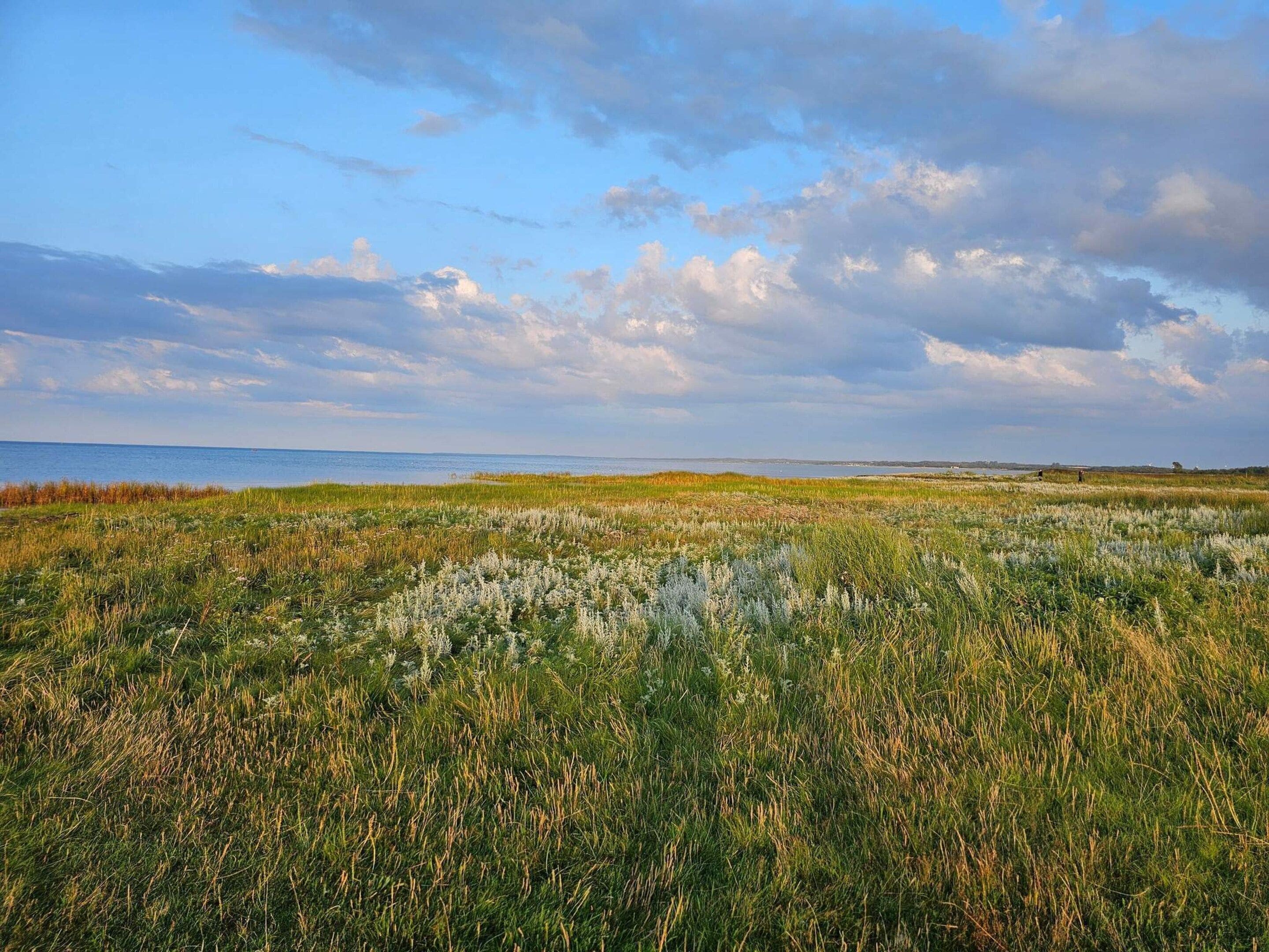 Un paysage côtier avec un champ herbeux et une vue sur la mer, sous un ciel partiellement nuageux.