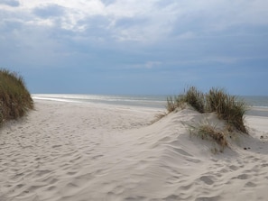A sandy beach with dunes and grass on either side, leading to the ocean.
