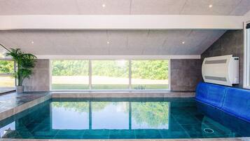 An indoor swimming pool with clear glass walls, a blue cushioned bench, and a potted plant.