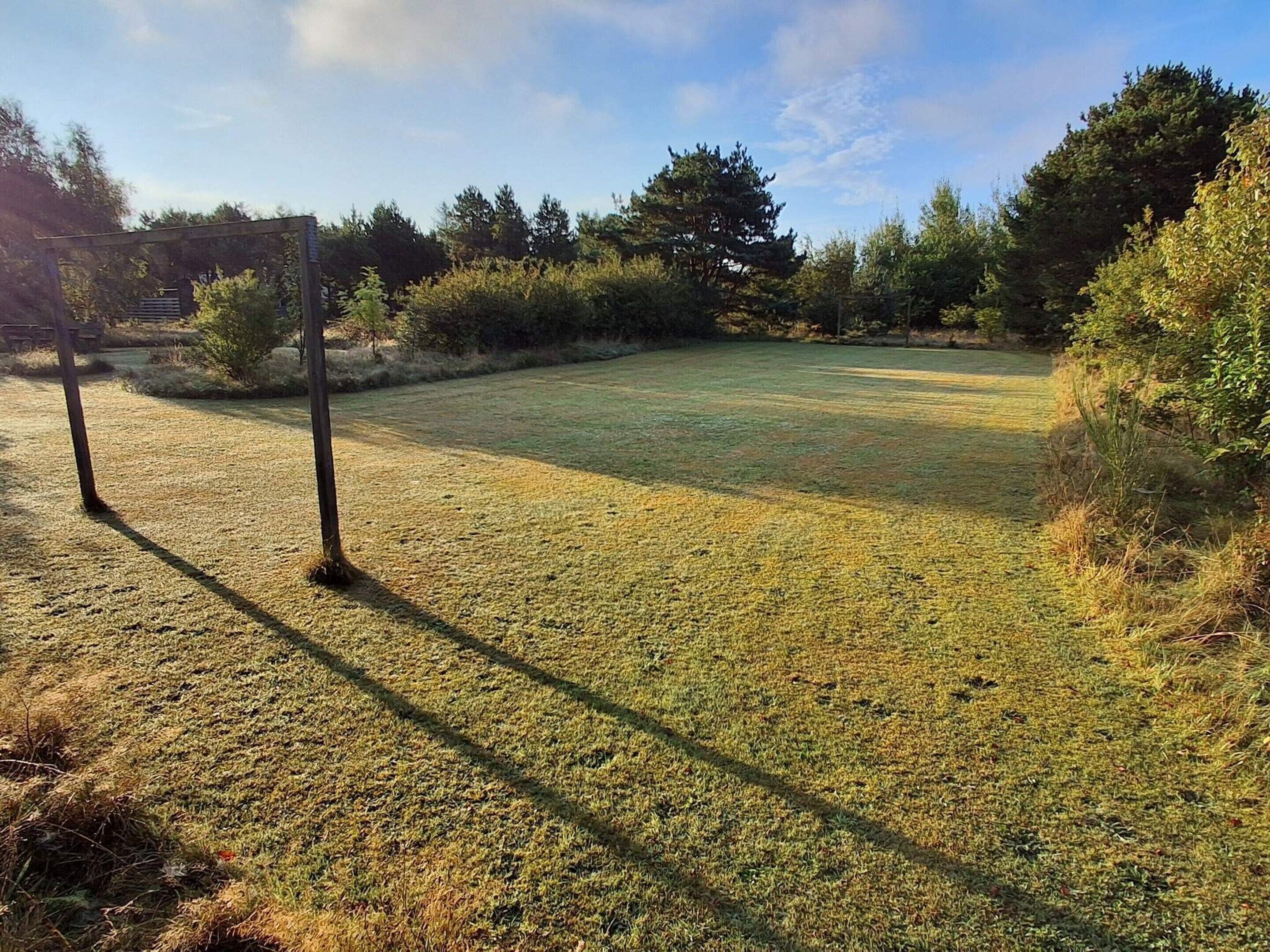 A grassy field with trees and a fence.