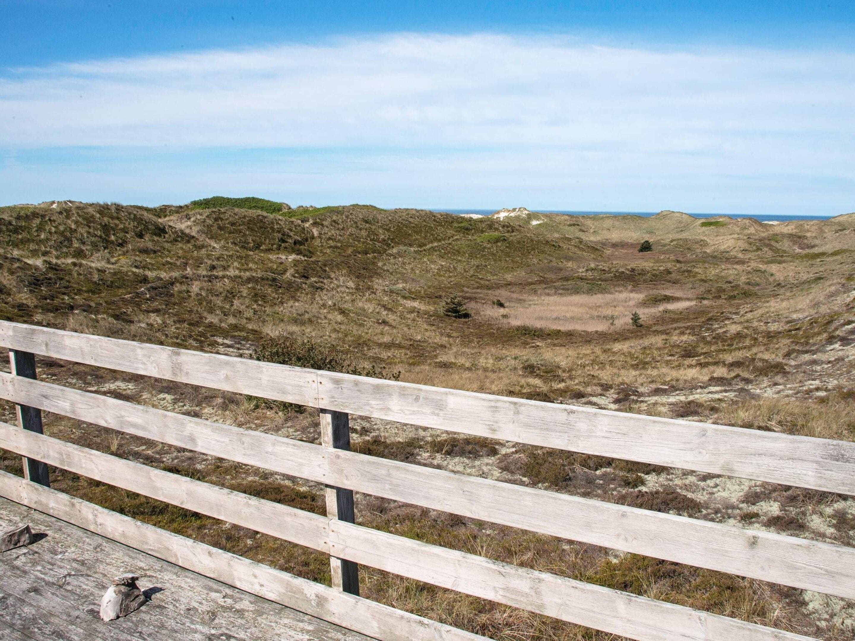 A wooden bench overlooking a natural landscape with dunes and sparse vegetation.