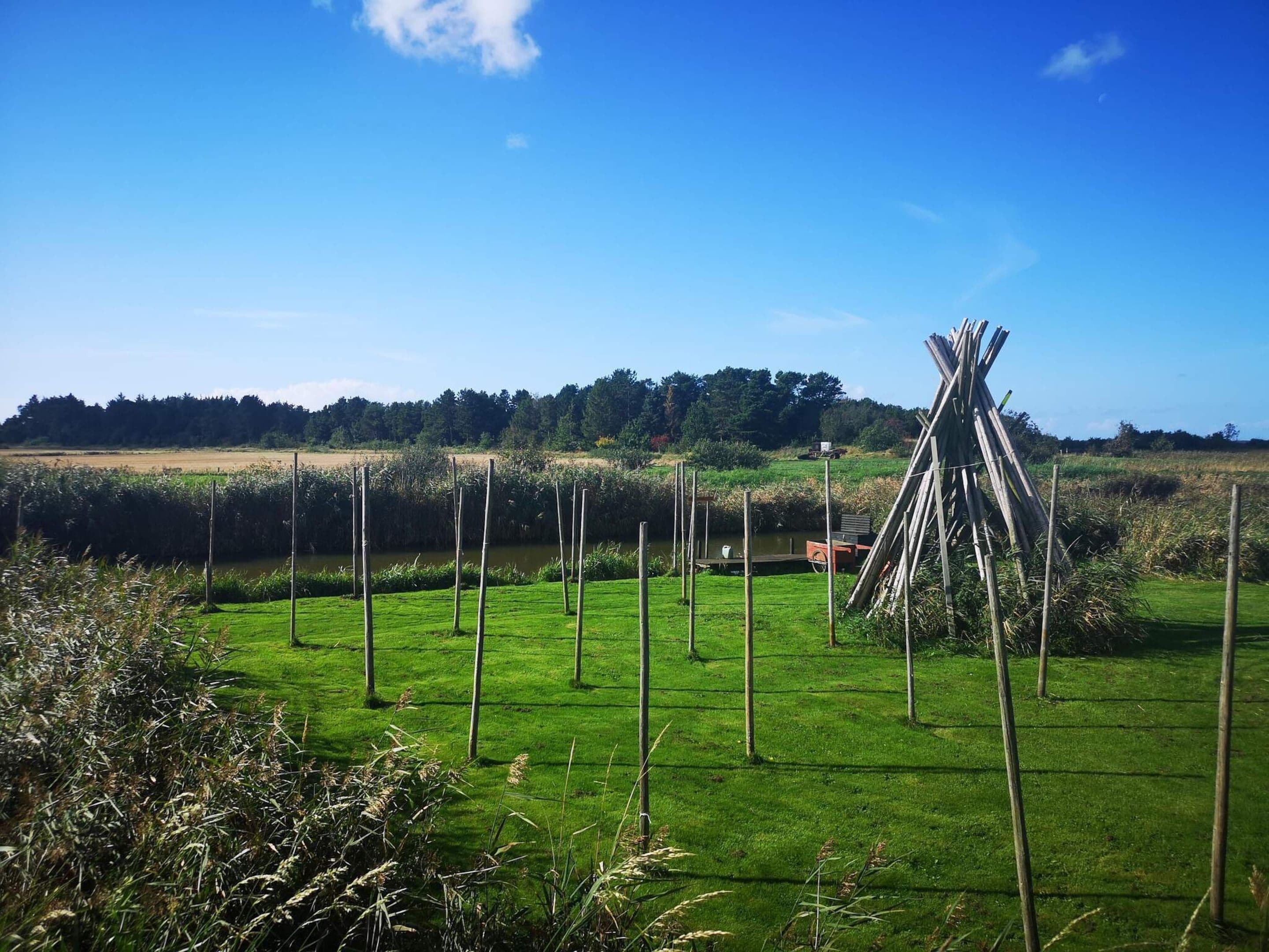 A grassy field with a clear sky, a small body of water, and a pile of sticks in the distance.