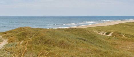 House | View from property