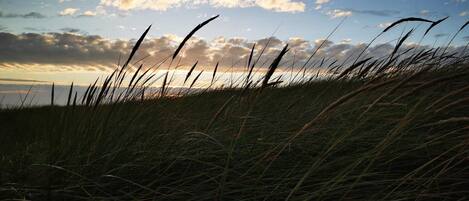 Ferienhaus | Verschiedenes