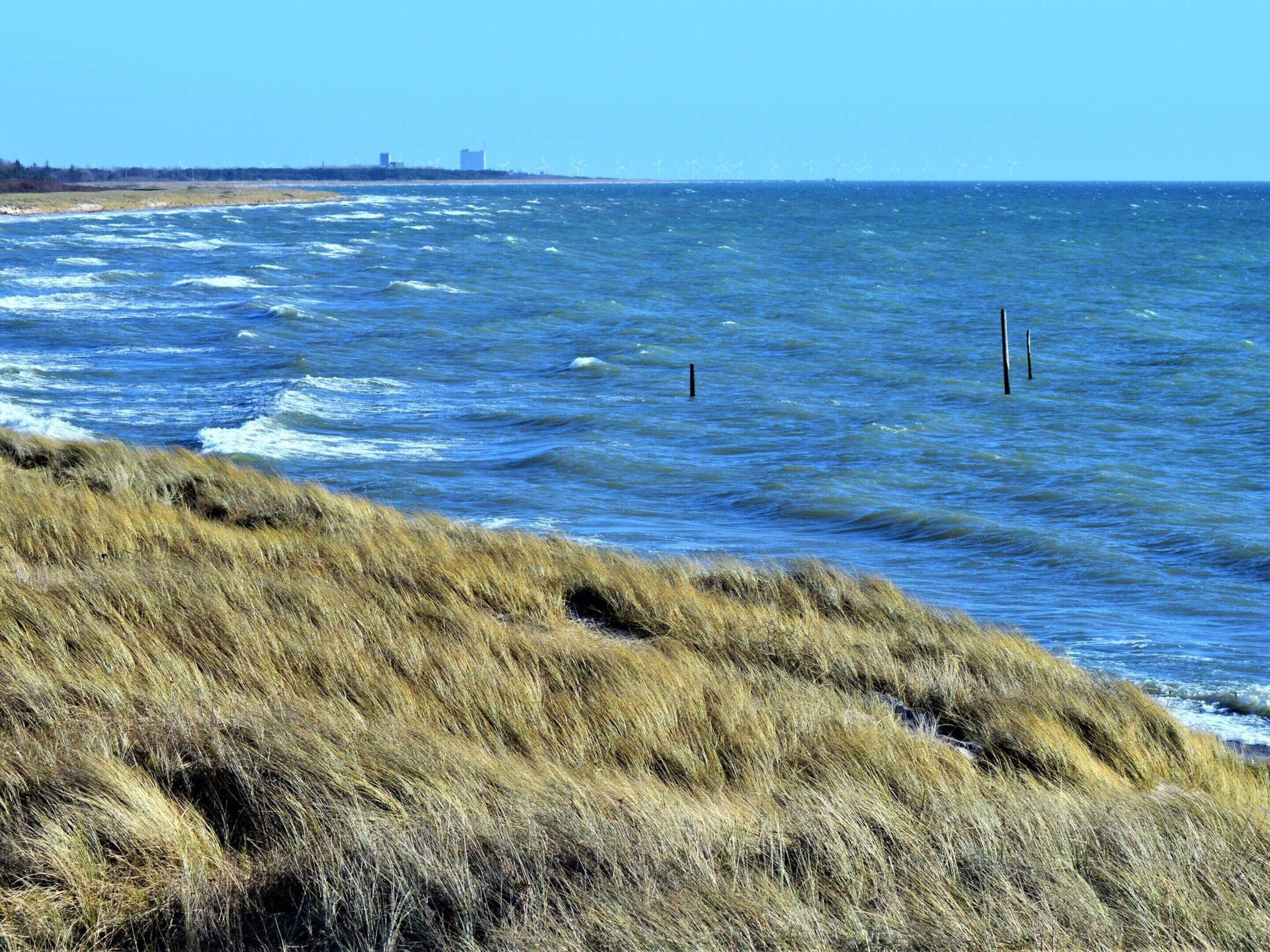 A coastal landscape with grassy dunes, a body of water, and wind turbines in the distance.
