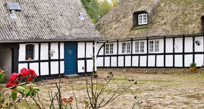 Cozy Apartment in Faaborg Municipality near Sea