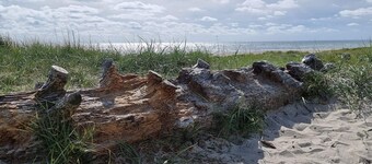 Seaside Oasis in Blavand - By Traum Ferienwohnungen