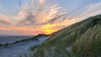 Una playa con dunas y un atardecer.