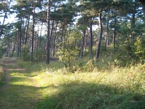 House | Miscellaneous - 5 Star Holiday Home in Vaeggerlose (Vaeggerlose)