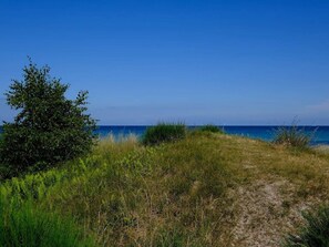A coastal path with grass and shrubs leading to the sea under a clear sky. - 5 Star Holiday Home in Vaeggerlose (Vaeggerlose)
