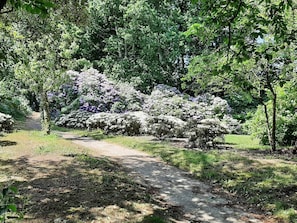 Casa | Jardines del alojamiento