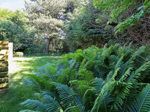 House | View from property