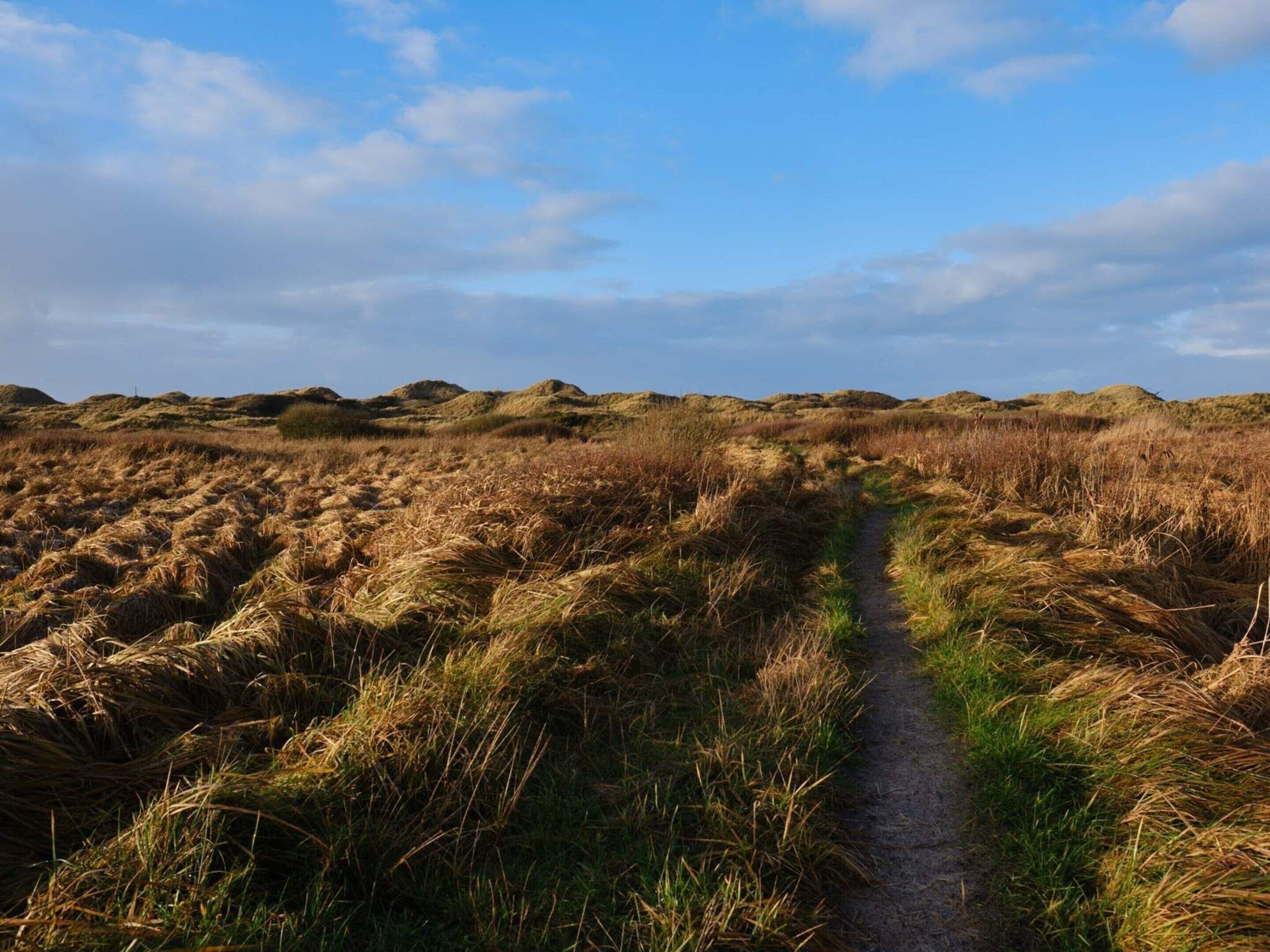 A natural landscape with a dirt path leading through grassy terrain and small hills in the distance.