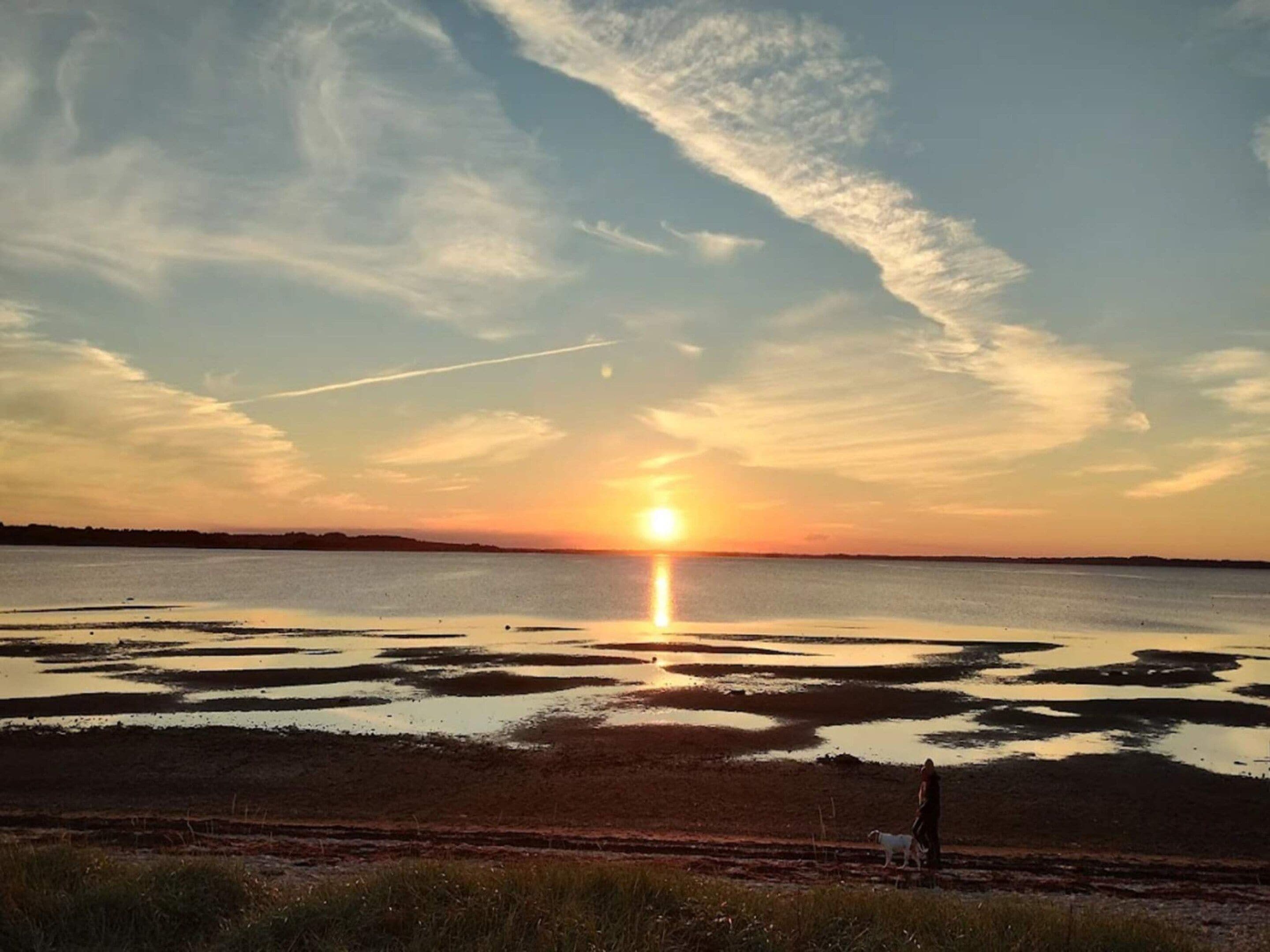 A sunset over a body of water with a person and a dog on the shore.