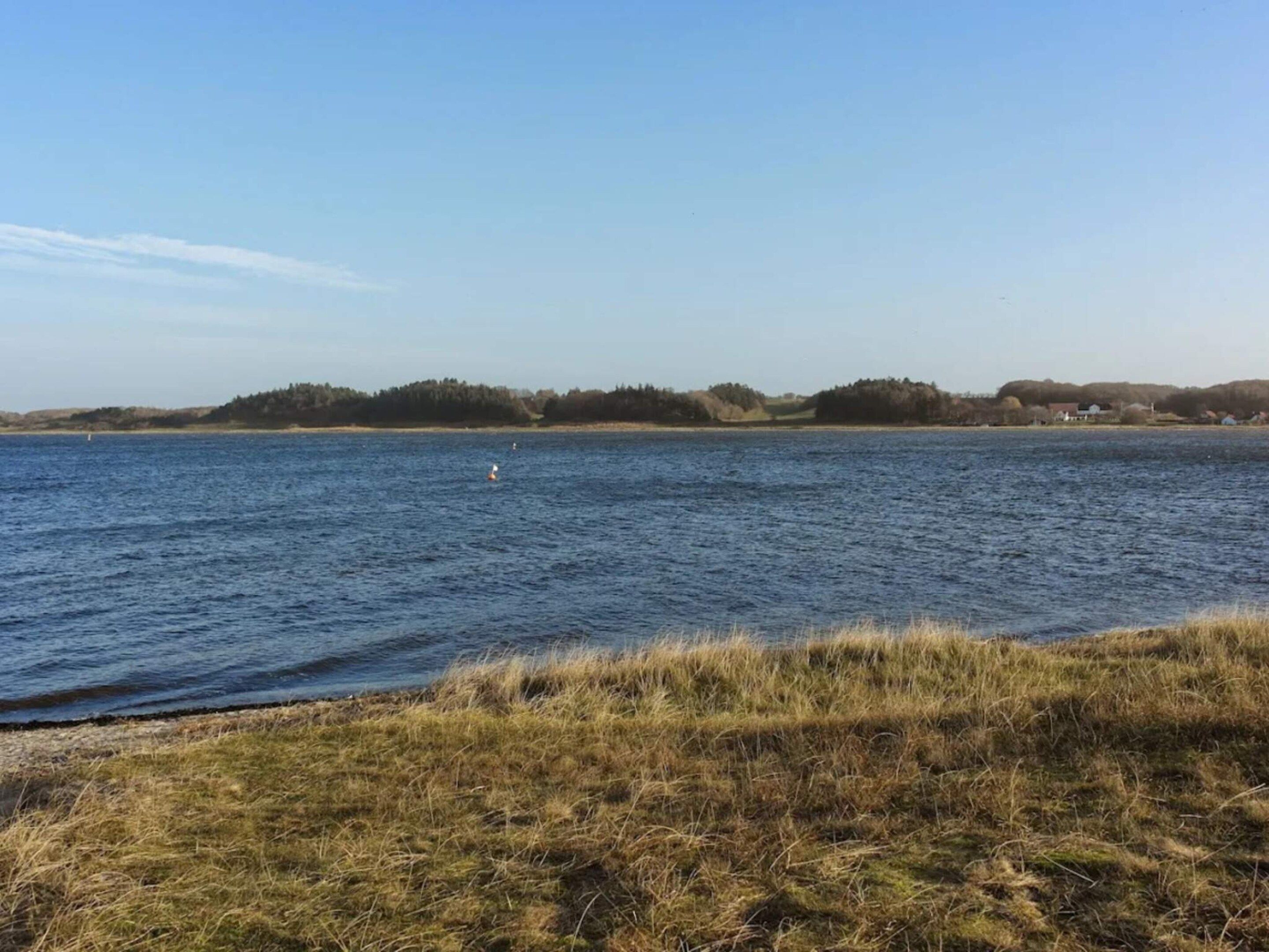 En stilla sjö med en gräsbevuxen strand och träd i fjärran.