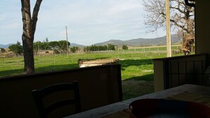 A room with a view of a grassy field and mountains. There is a chair and a table in the foreground.