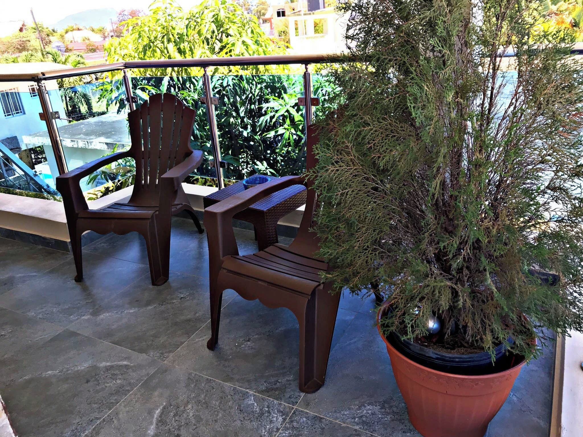 A balcony with two wooden chairs and a potted plant.
