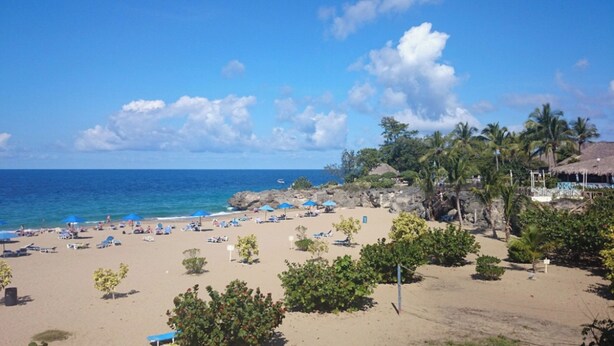 Une plage avec des parasols, des chaises longues et des palmiers.