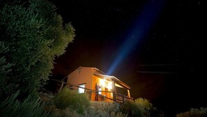 Uma casa com interior iluminado, cercada por árvores, e um céu noturno estrelado.