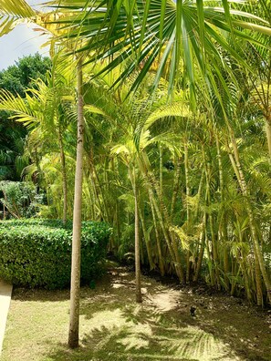 Property grounds - Cap Cana Bungalow Con Piscina Privada (Punta Cana)