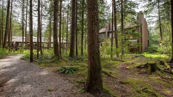 Condo, 2 Bedrooms, Balcony, Mountain View | Property grounds