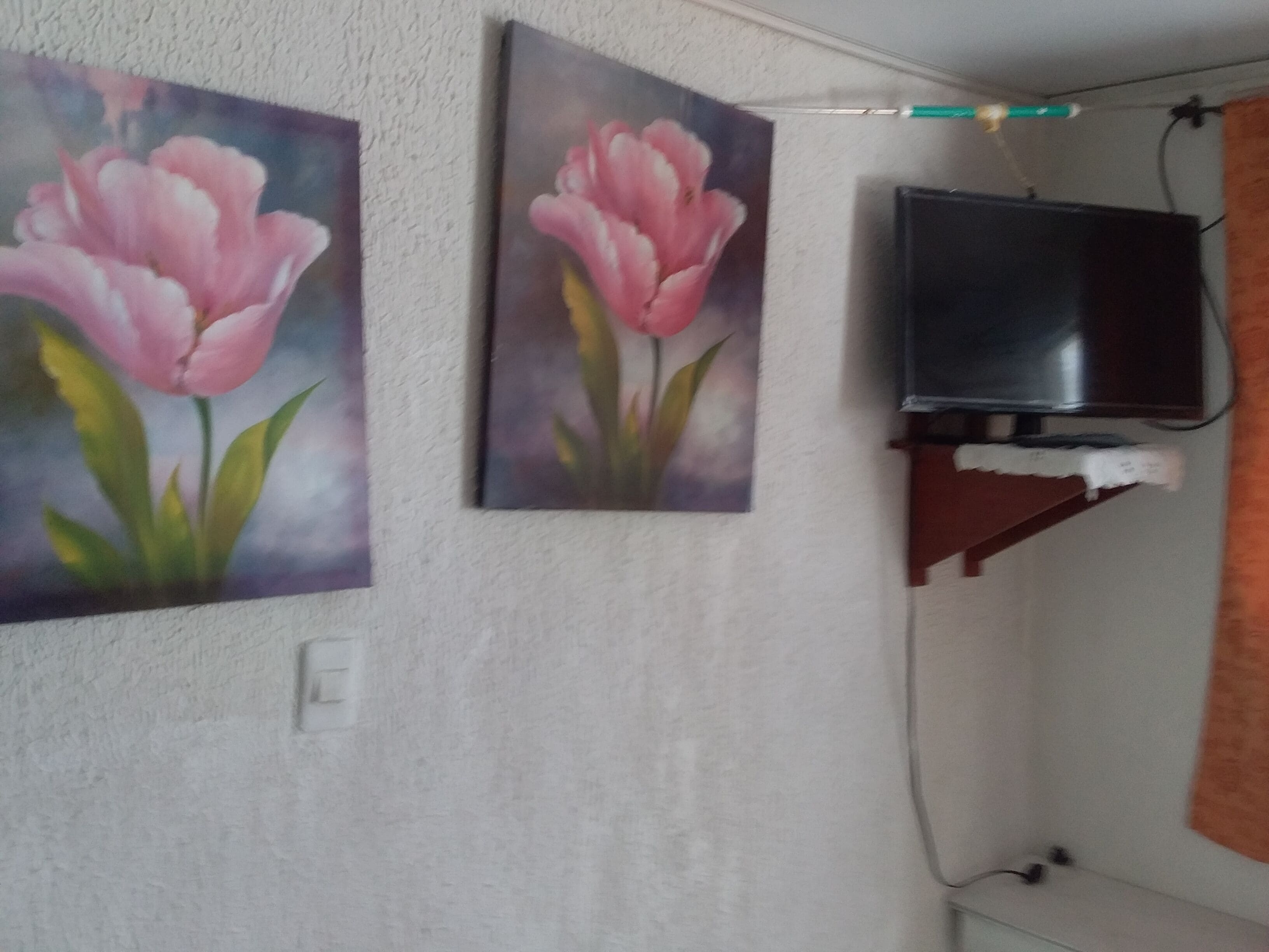 room, 1 bedroom, accessible, smoking | room amenity