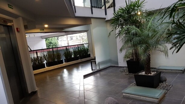 Un hall d’entrée spacieux, doté d’un sol carrelé, de plantes en pot et d’un escalier en arrière-plan.