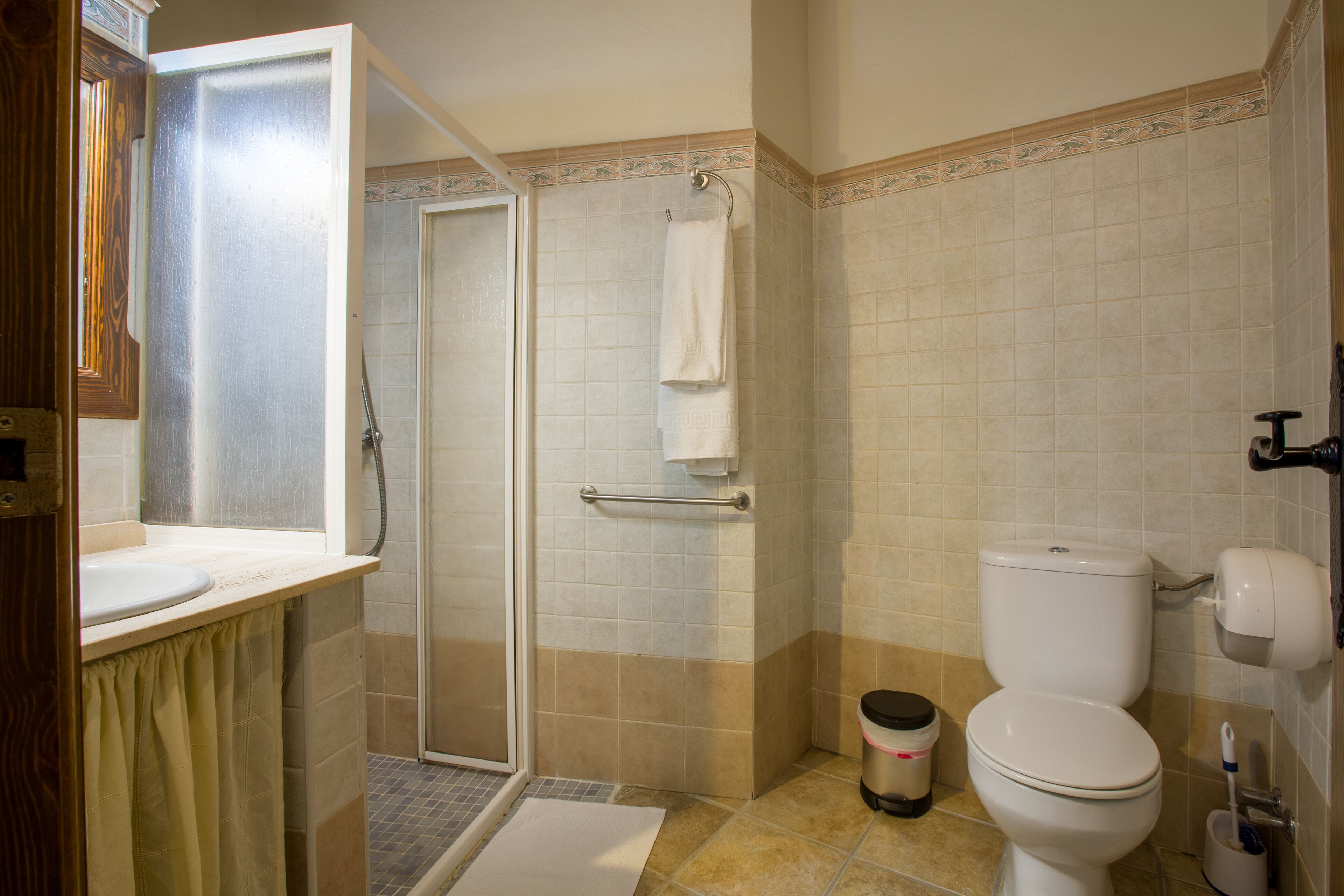 Une salle de bain avec douche, toilettes et lavabo.