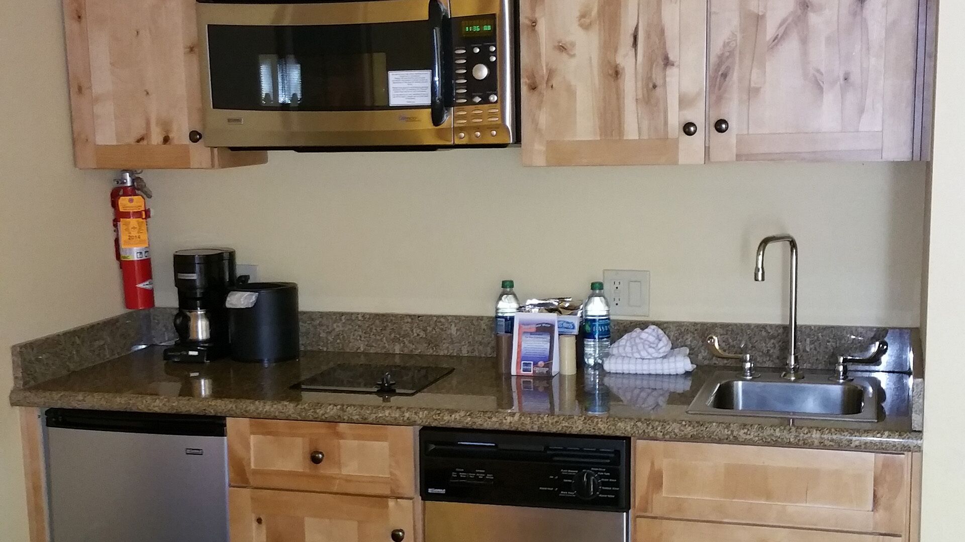 205 Base area slope side views Mt. Crested Butte