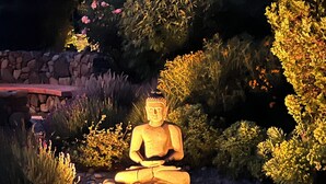 Una statua di Buddha vicino a una piscina, con un muro in pietra e piante.
