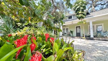 Àrea exterior de l'allotjament