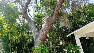 Àrea exterior de l'allotjament