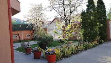 庭園