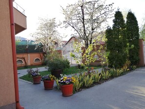 庭院