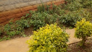 A stone building with a window and a door, surrounded by a garden with various plants and a concrete pathway. - Banana Leaf Hotel (Nyeri)