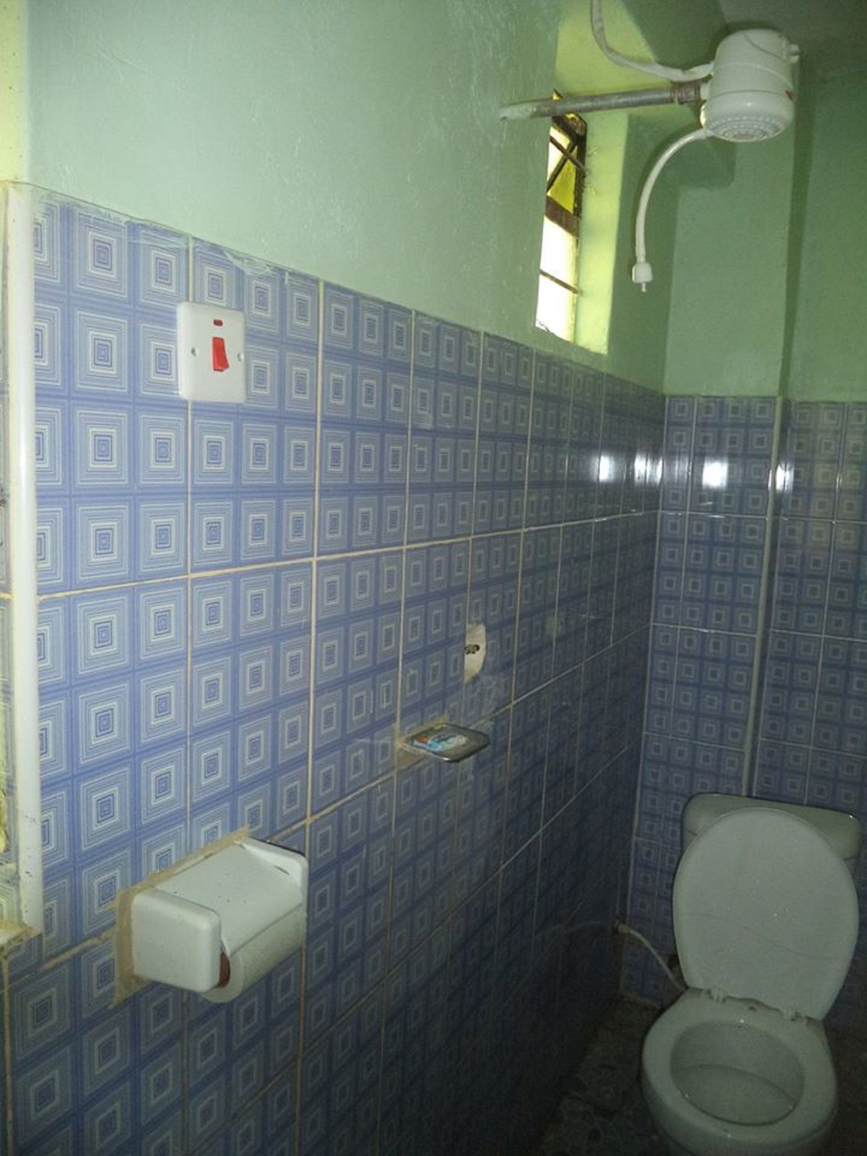 Une salle de bain avec des carreaux bleus à motifs, des toilettes, un sèche-mains et une pomme de douche.