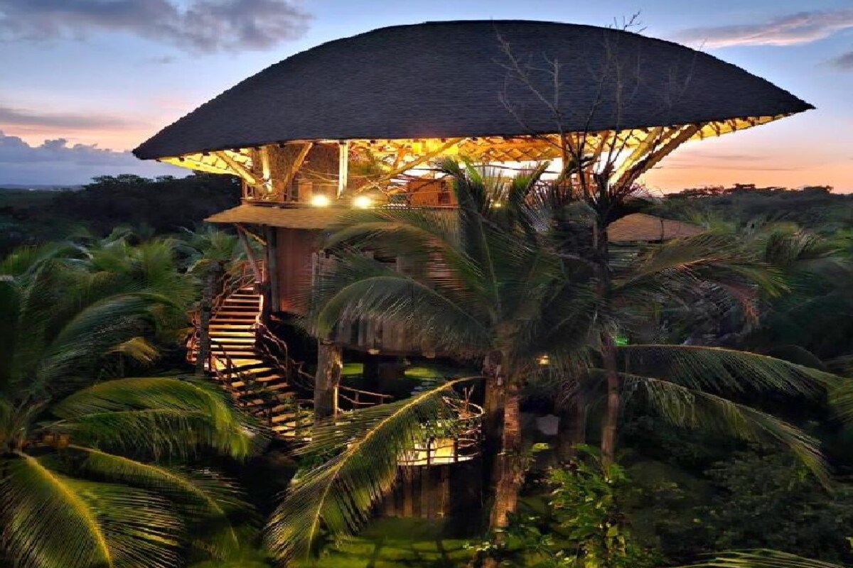 A treehouse with a thatched roof, surrounded by palm trees, and accessible by a wooden staircase.