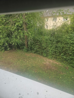 Vista da propriedade