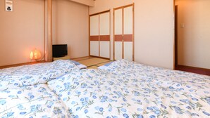 A bedroom with two beds, a television, and a sliding door closet.