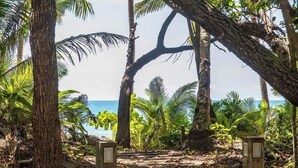A pathway leading to a beach with palm trees and a clear view of the ocean.