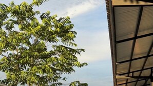 Un bâtiment moderne doté d’une façade en bois et d’un espace extérieur couvert agrémenté d’un arbre et de plantes.