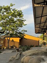 Un sauna, una bañera de hidromasaje, baño turco