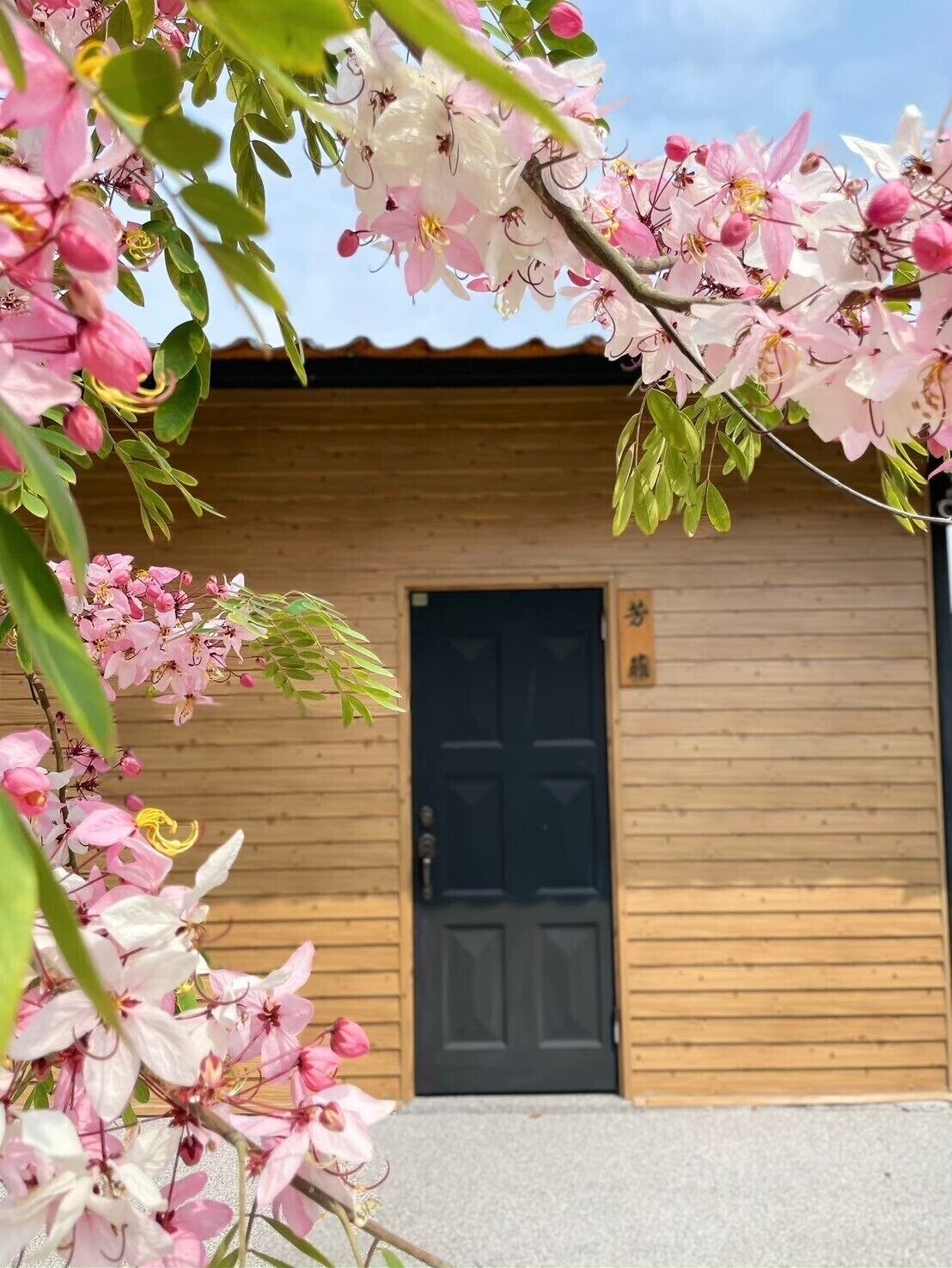 Sauna, hot tub, steam room, hot springs