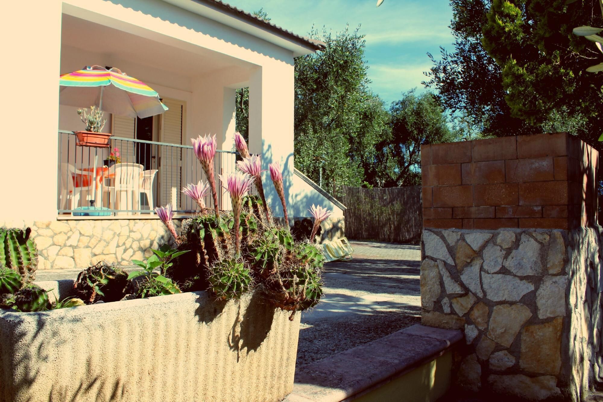 Terraza o patio