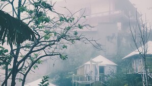 Un edificio tradicional con techo a dos aguas, rodeado de exuberante vegetación y diversas plantas.